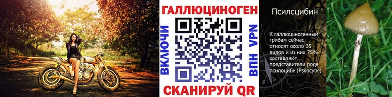 купить наркотик  Кукмор  Галлюциногенные грибы прущие грибы 